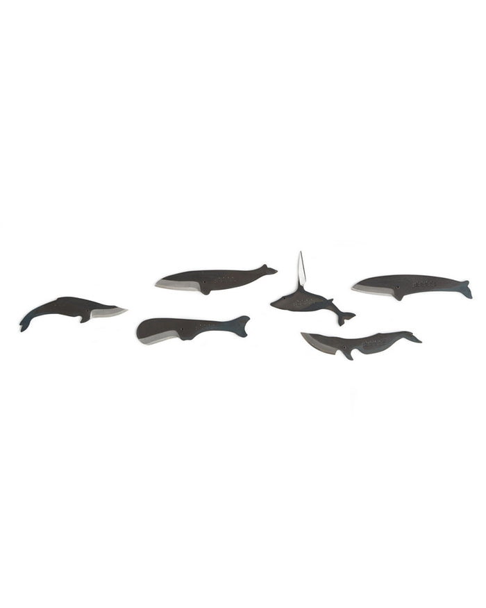 Kujira Knife - Letter Opener Whale (OUT OF STOCK)