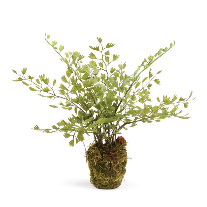 Maidenhair Drop-In 9" - Magnolia Lane co. Home + Garden + Gift