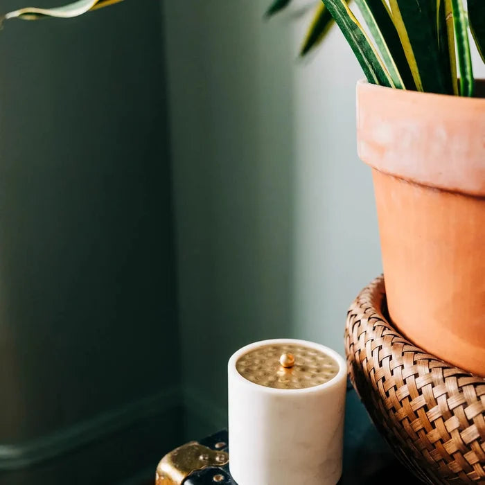 Marble Storage Canister (*Local Pickup/ Local Delivery Only)