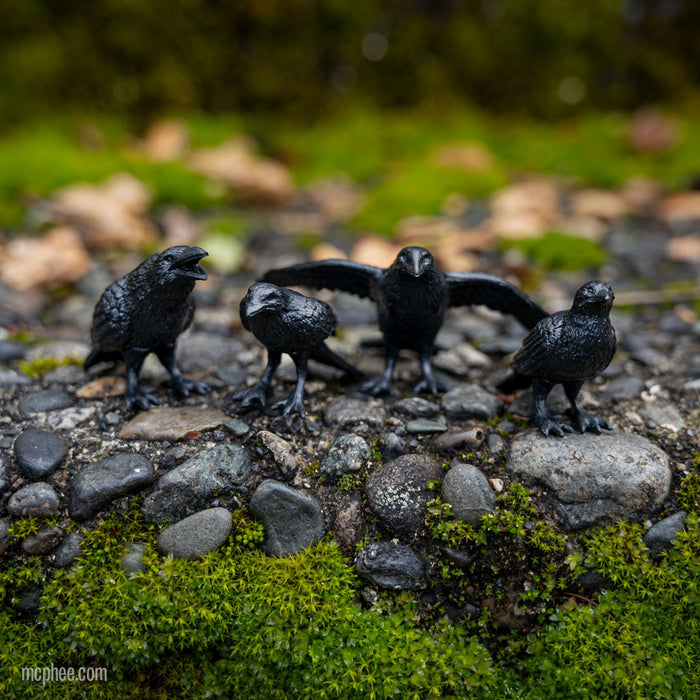 Four members of the "Murder of Crows" are perched on a moss-covered, rocky surface outdoors.