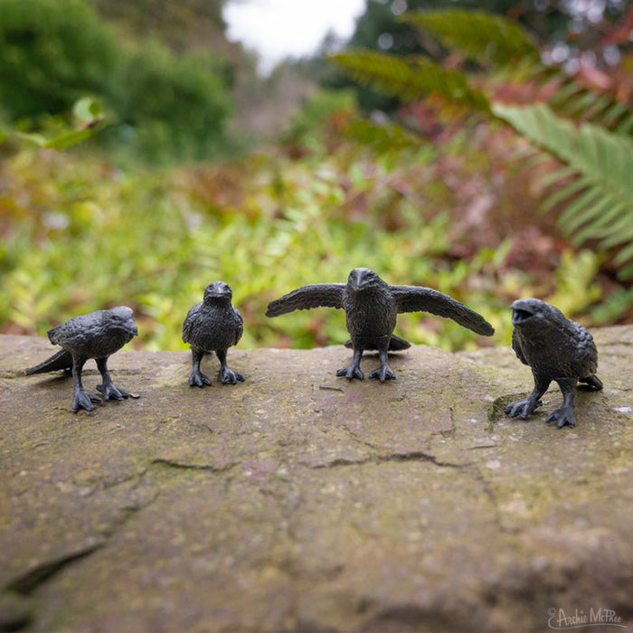 The "Murder of Crows" features four decorative crows with arms in various poses, sitting on a stone surface amidst lush greenery.