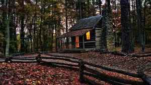 NorthWoods - Premium Fragrance Oil