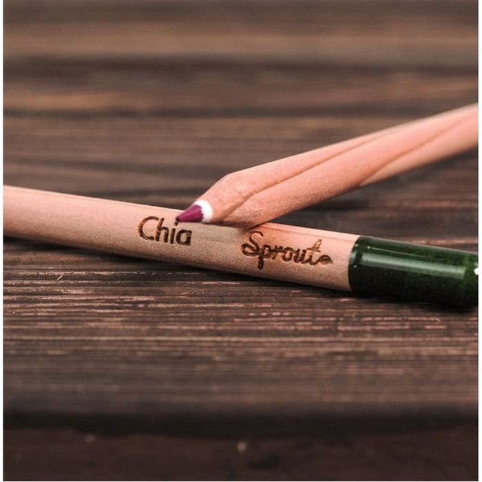 Plantable Colored Pencils