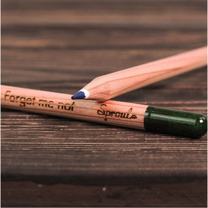 Plantable Colored Pencils