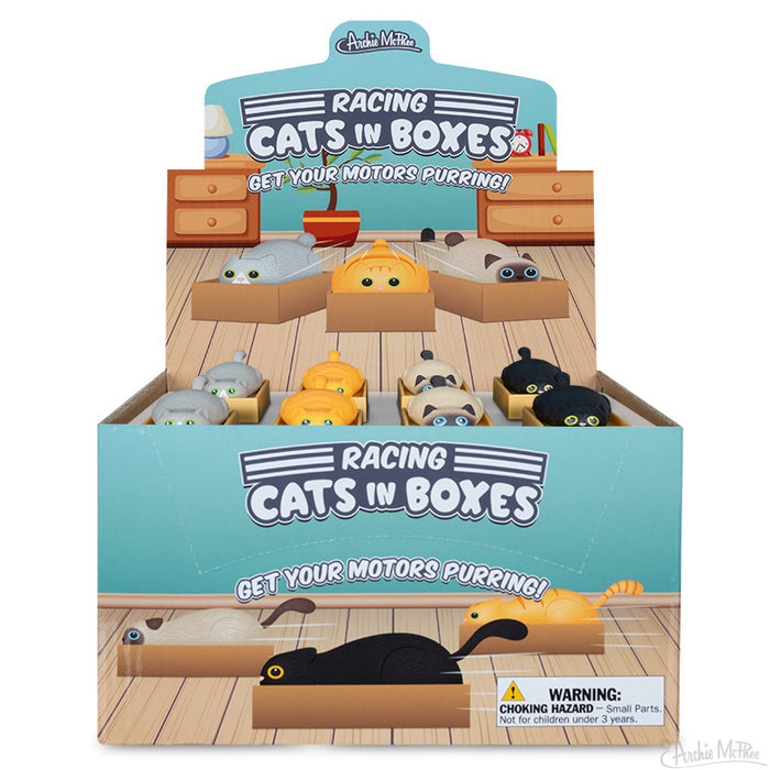 Showcase box containing Racing Cats in Boxes plush cat toys made from soft vinyl and plastic. These speedy felines are ideal for cat enthusiasts seeking to enhance their collection with a fun and quirky element, aptly labeled "Get Your Motors Purring!