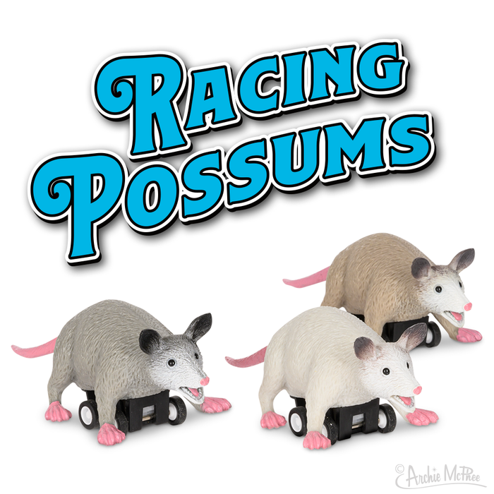 Three toy possums equipped with wheels speedily glide across the floor, as bold blue letters above display "Racing Possums." Their swift motion is powered by a pull-back mechanism, making them a fantastic addition to any child's playtime.