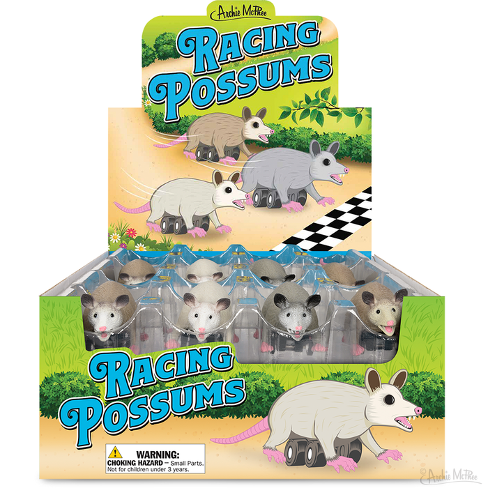 Feel the excitement with our Racing Possums display box! These pull-back possum toys, set against a colorful backdrop, feature wind-up wheels that ensure impressive speed and endless fun. They're perfect for young racers eager to watch their possums zoom across any surface!