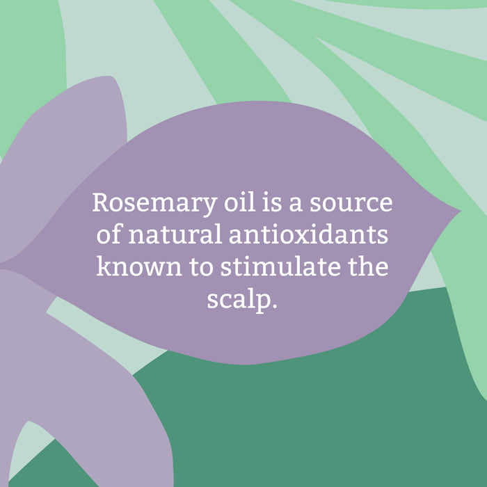 Rosemary shampoo - 1L