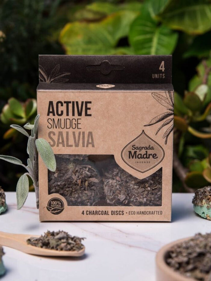 Sagrada Madre - Premium Charcoal Discs (4pc) | White Sage-Image 1
