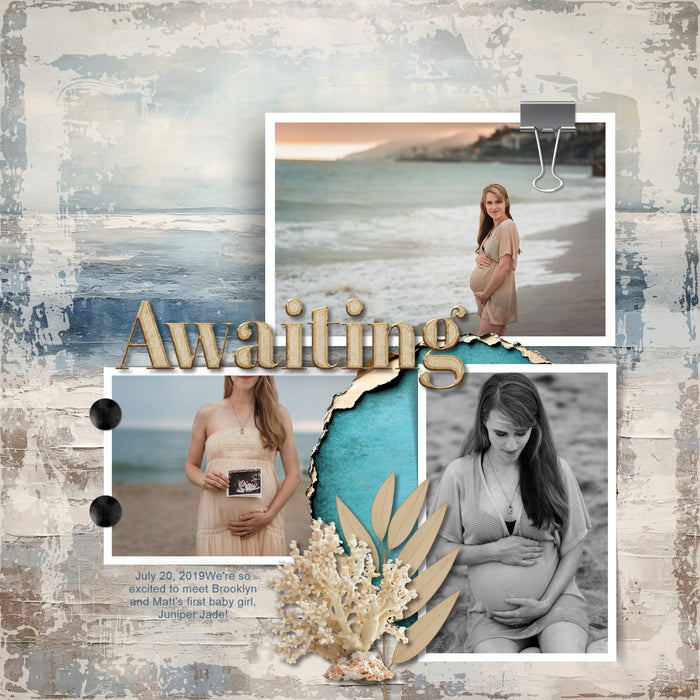 Love distressed wood backgrounds? Now you can create your own with these Enhanced Digital Art Easy Mask Frame Effects and Overlay Embellishments by Lucky Girl Creative digital art for digital scrapbooking. Perfect for beach vacations, western and farm pages, and so much more! With 24 unique grunge wood textures, these designs can be used as is, filled with paper, colorized, or used as Blend effects. Now you can design your own backgrounds! Make subtle or bold - the choice is yours!
