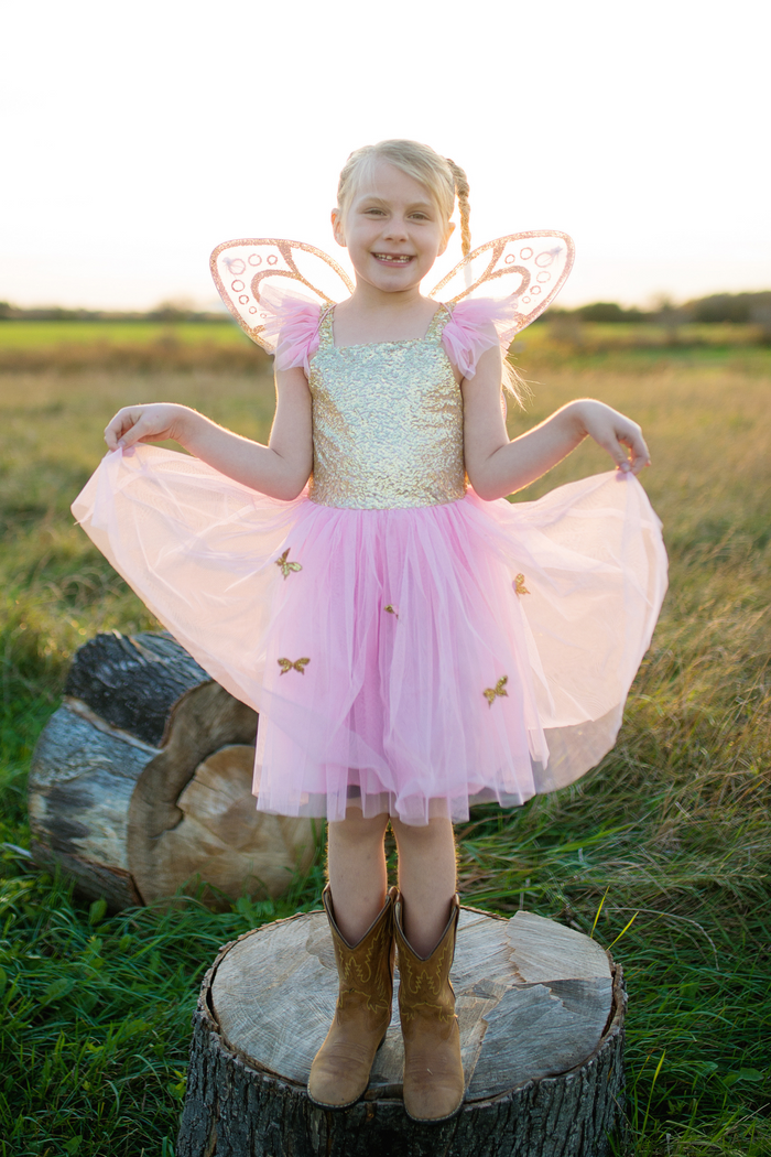 Sequins Butterfly Dress & Wings