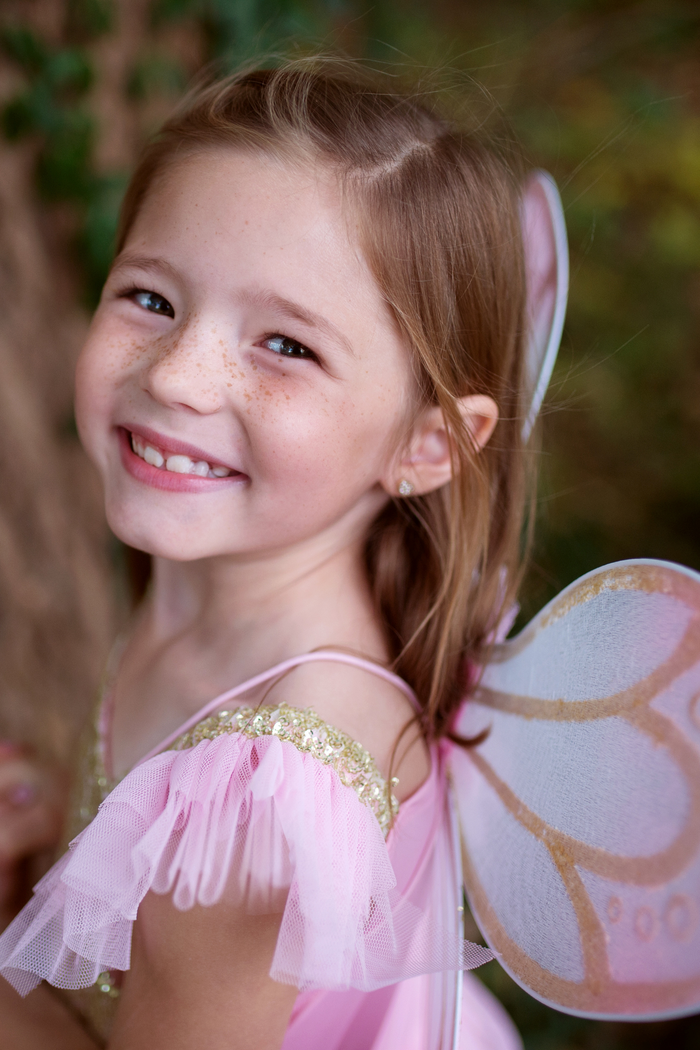 Sequins Butterfly Dress & Wings