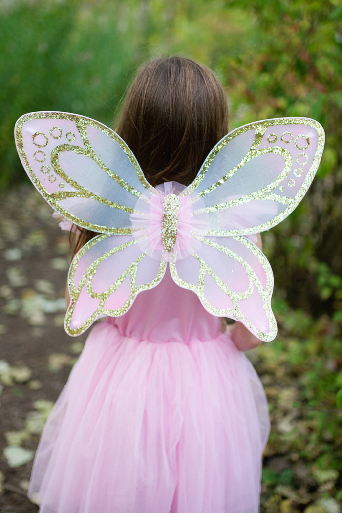 Sequins Butterfly Dress & Wings
