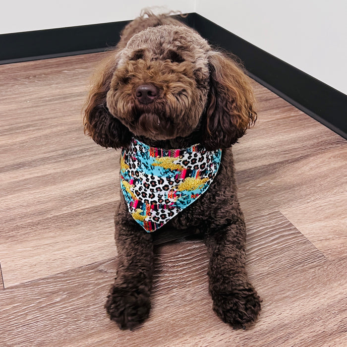 Serape Leopard Fancy Band-Anas For Pets