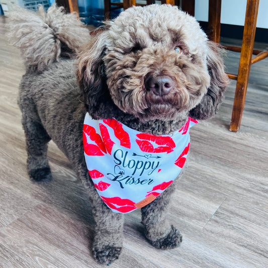 Sloppy Kisser Fancy Band-Anas For Pets