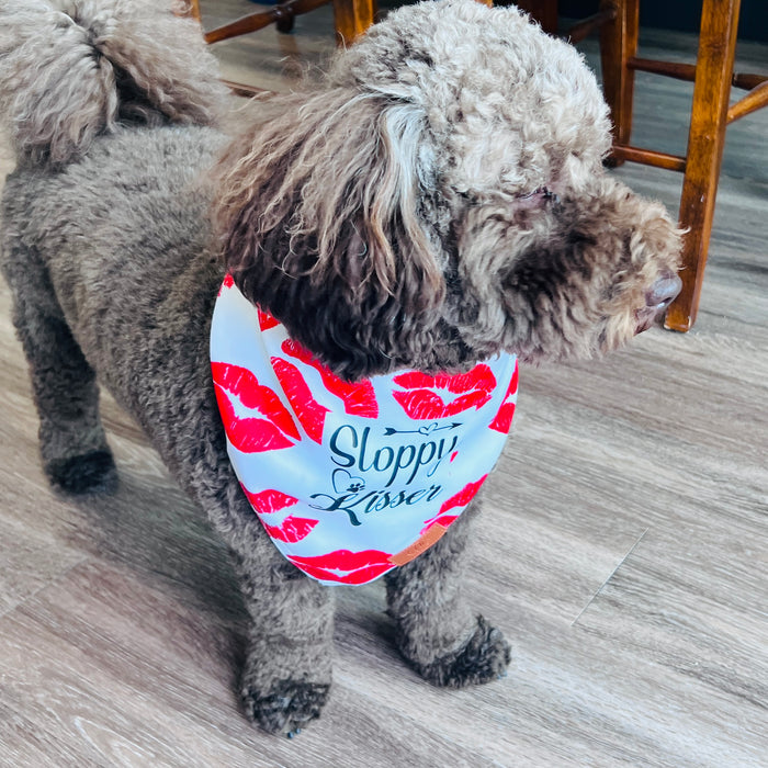 Sloppy Kisser Fancy Band-Anas For Pets