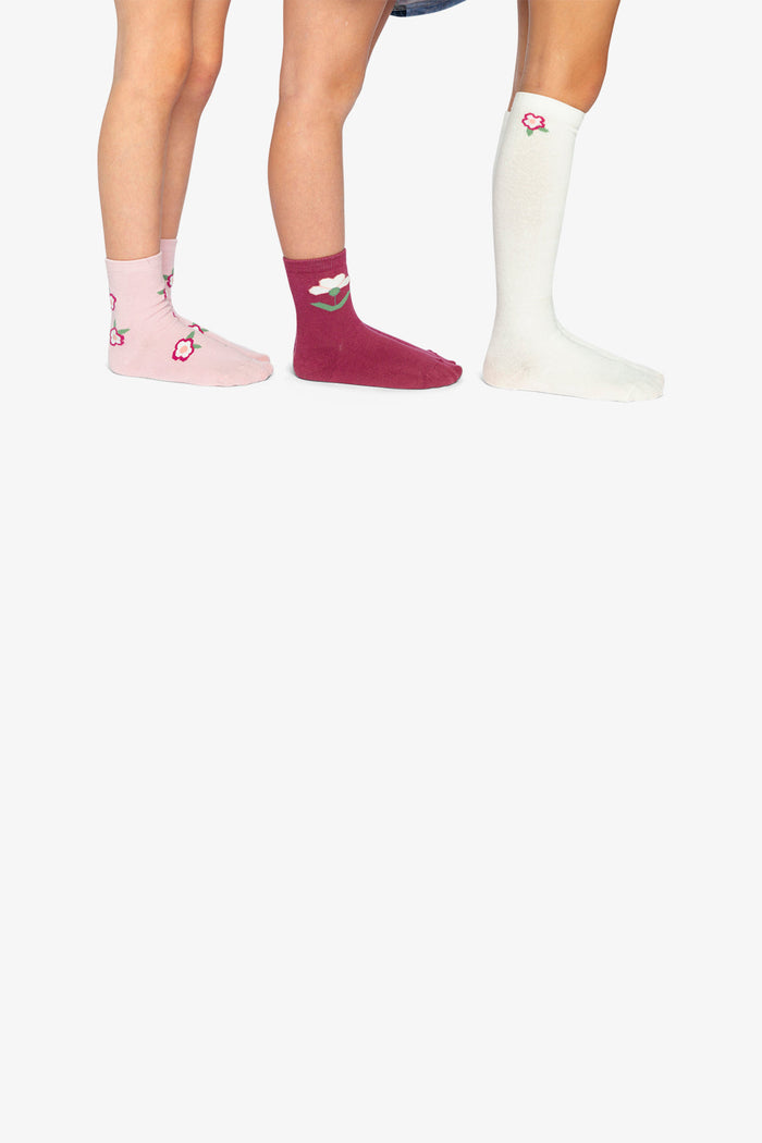 Socks Off-White And Pink-1