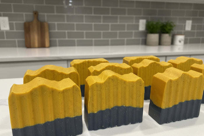 Tallow Turmeric & Charcoal Soap Bar