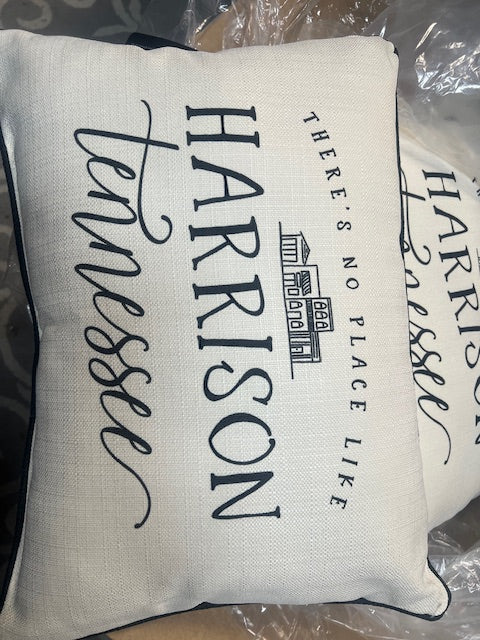There's No Place Like Main Street Pillow Harrison