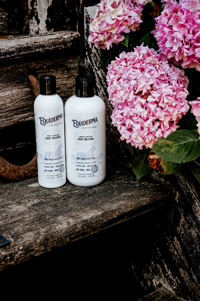 Thrush & Whiteline Hoof Dressing