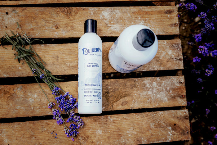 Thrush & Whiteline Hoof Dressing