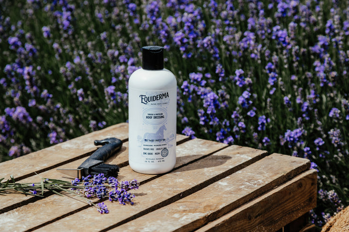 Thrush & Whiteline Hoof Dressing