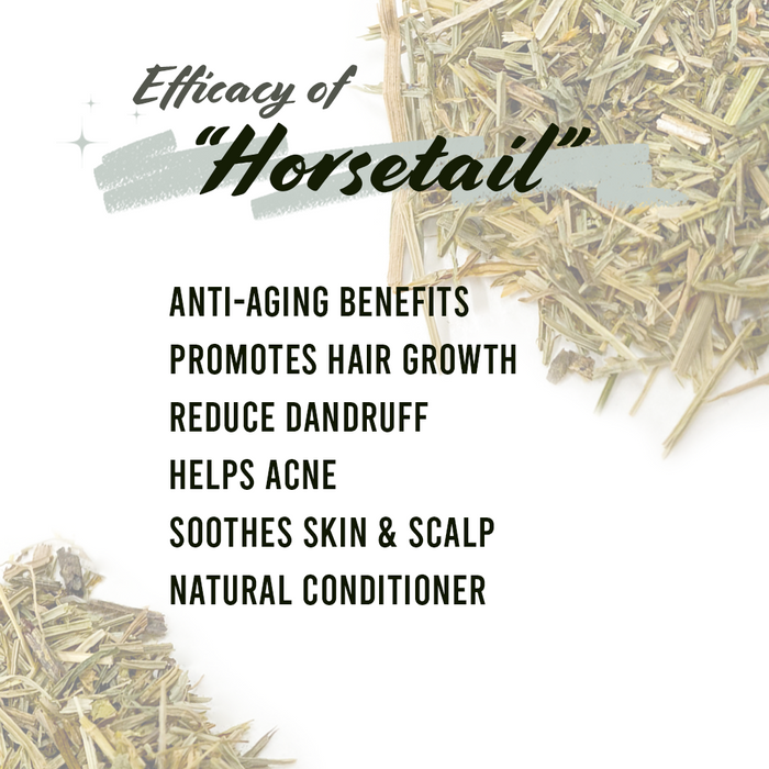Well's Herb Dried Horsetail | 0.5 oz.