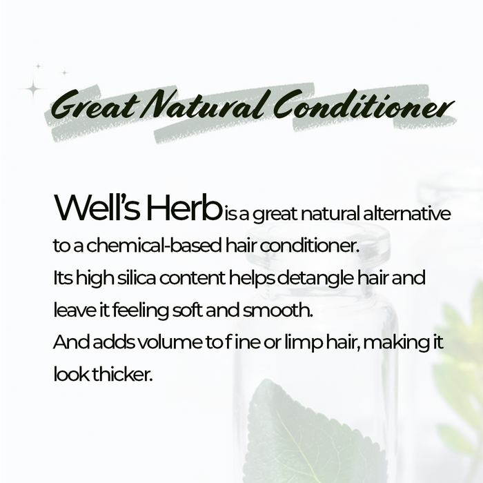 Well's Herb Dried Horsetail | 0.5 oz.