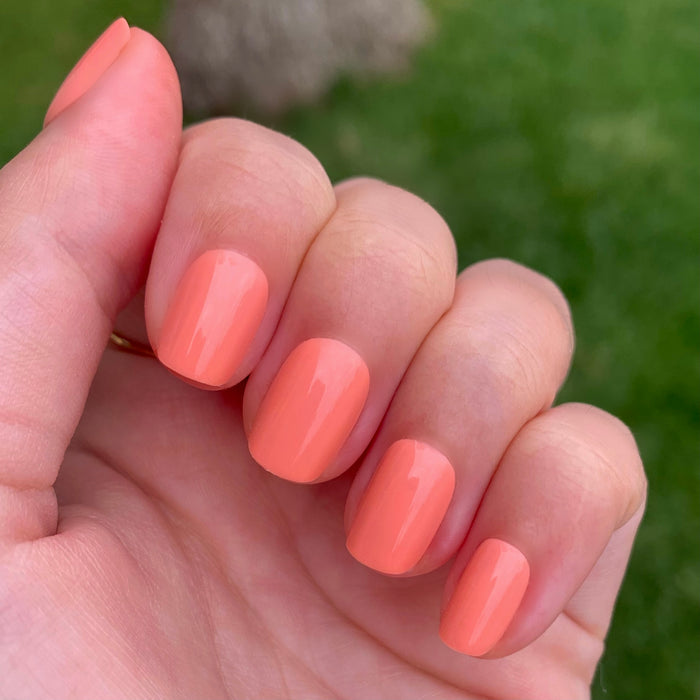 Hand showing Wild & Free | Squoval | Extra Short coral squoval shaped press-on nails for a quick mani at home