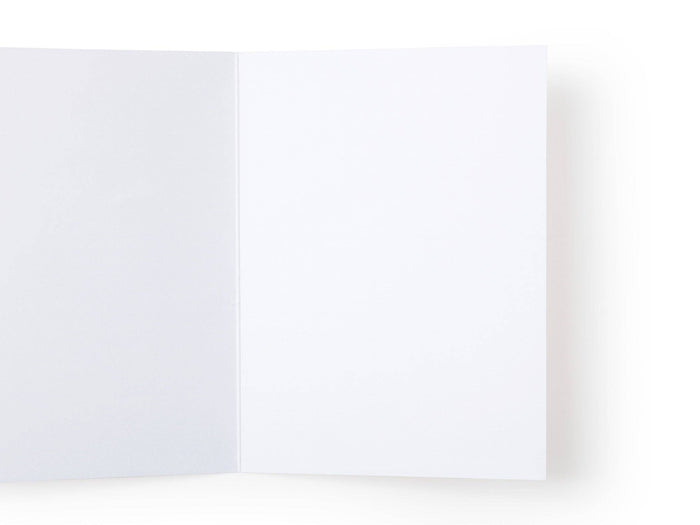 You Did It Pennant Flags Greeting Card