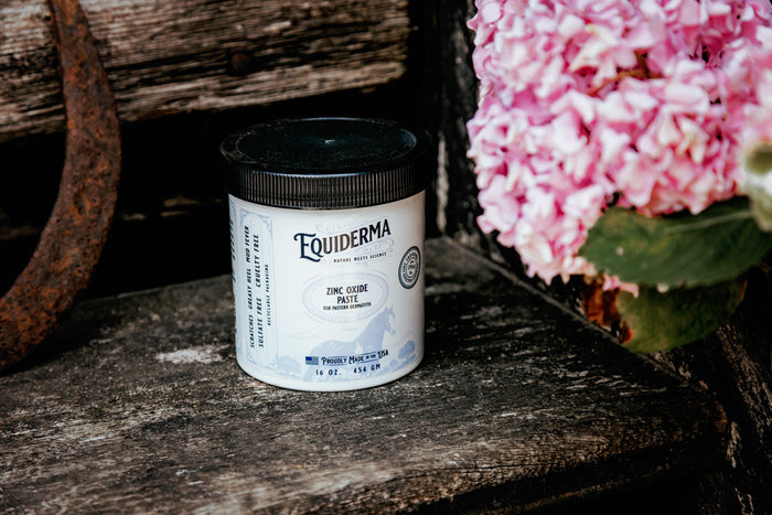 Zinc Oxide Paste (for Pastern Dermatitis)