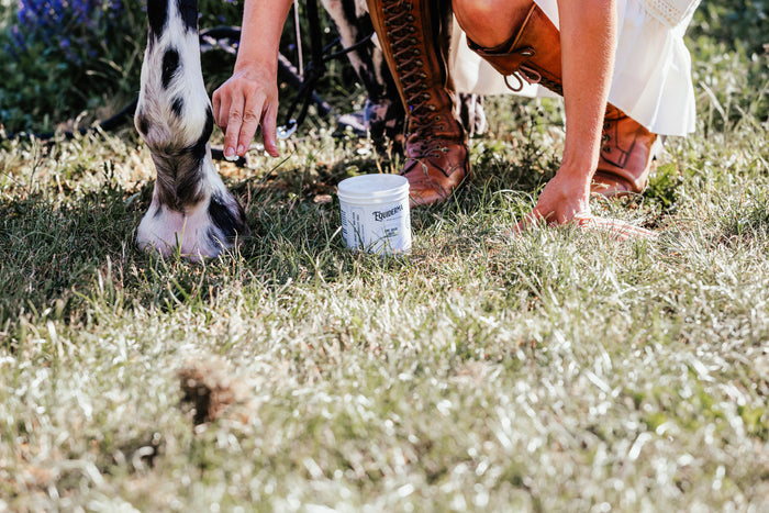 Zinc Oxide Paste (for Pastern Dermatitis)