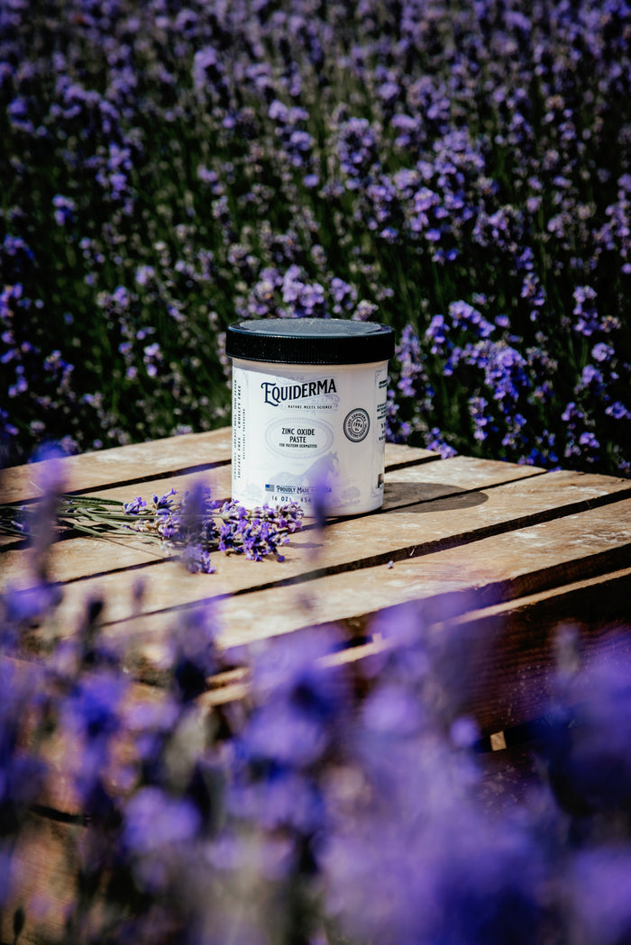 Zinc Oxide Paste (for Pastern Dermatitis)