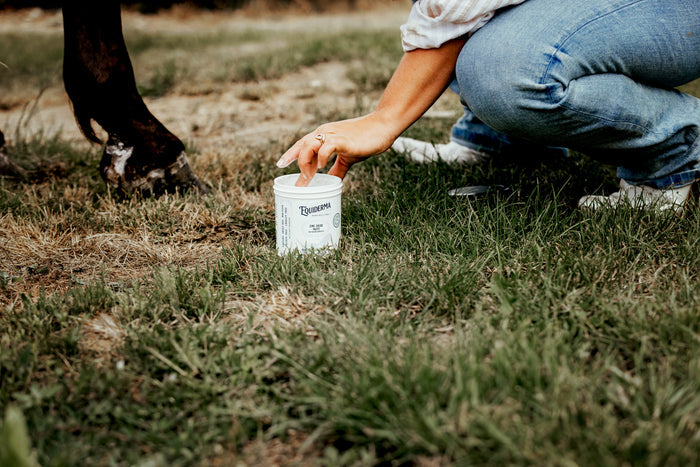 Zinc Oxide Paste (for Pastern Dermatitis)