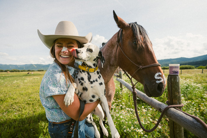 Zinc Oxide Paste (for Pastern Dermatitis)
